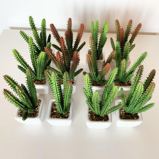 Pack 12 cactus kañanchoe surtidos artificiales con maceta de cerámica