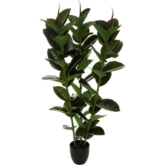 Planta artificial de ficus robusta altura 120